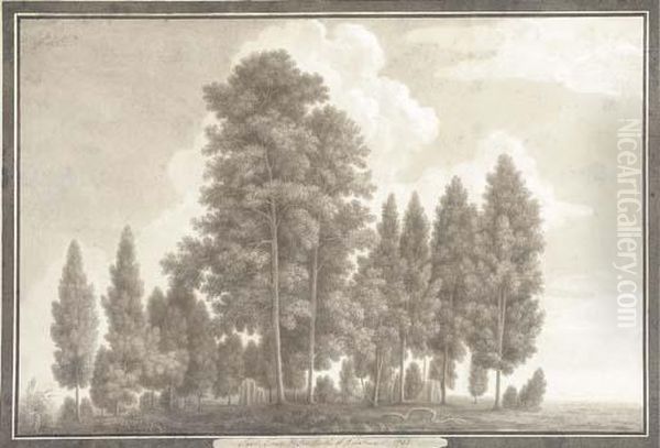 Sal Trees In The North Of Rohilcund Oil Painting by Thomas Longcroft