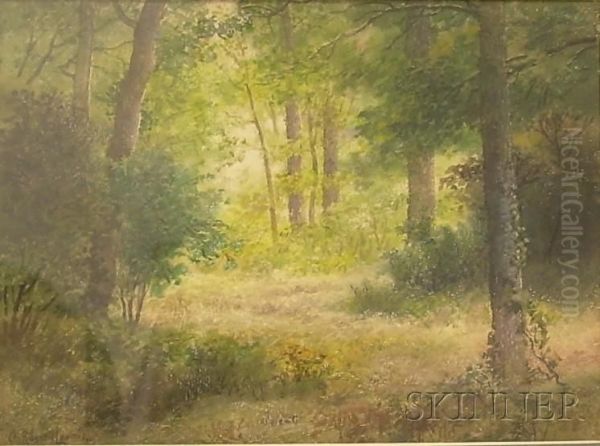 Woodland View Oil Painting by Charles Russell Loomis