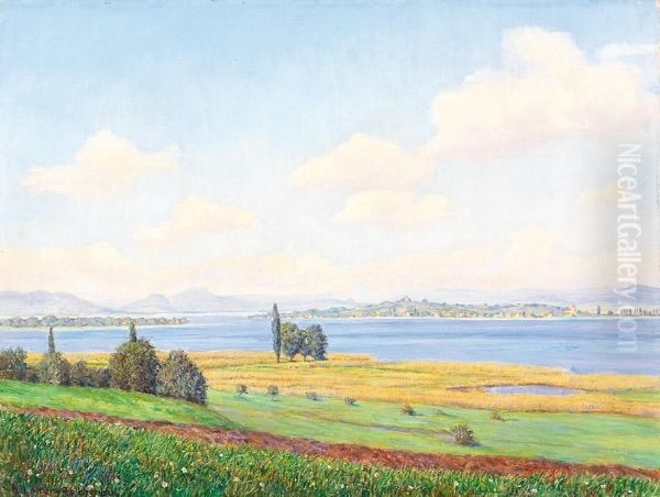 Bodenseelandschaft Mit Blick Auf Die Insel Reichenau An Einem Sonnigen Sommertag Oil Painting by Heinrich Lotter