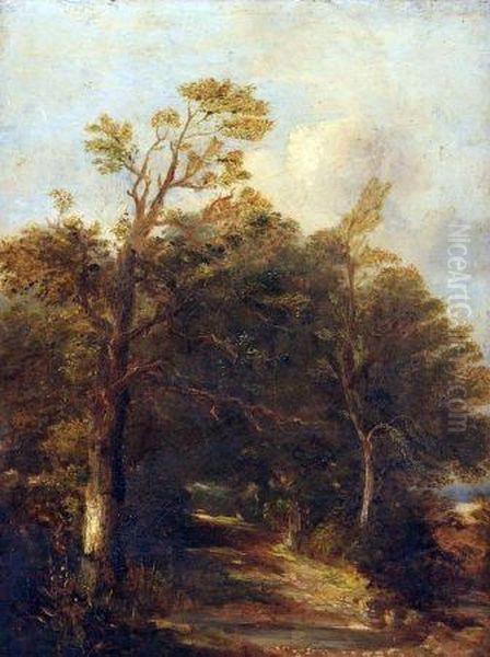 A Woodland Glade Oil Painting by Thomas Lound