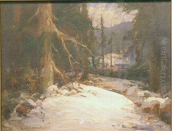 A Forest Veteran Oil Painting by Frank W. Loven