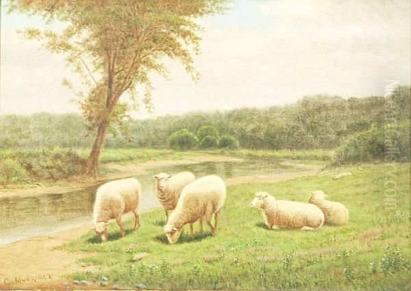 Sheep Grazing Oil Painting by Clinton Loveridge