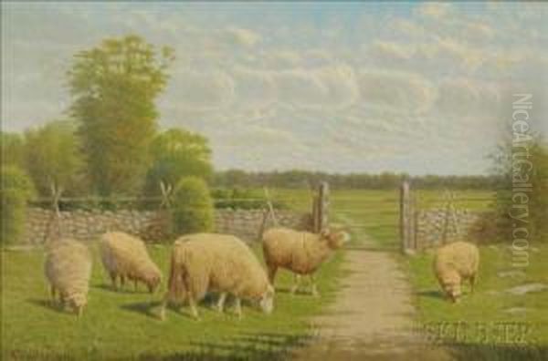 The Grazing Flock. Oil Painting by Clinton Loveridge