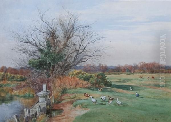 A Surrey Common In April Oil Painting by Charles Low