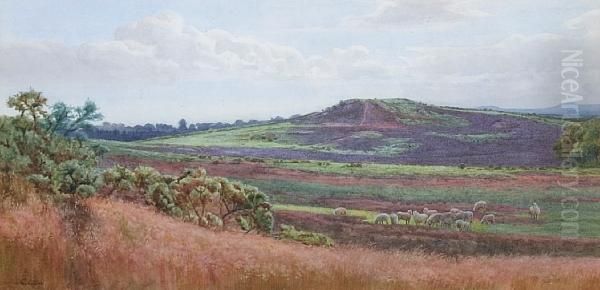 Mousehill Downs Oil Painting by Charles Low