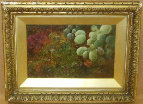 A Still Life Study Of Fruit On A Mossy Bank Oil Painting by Lucas