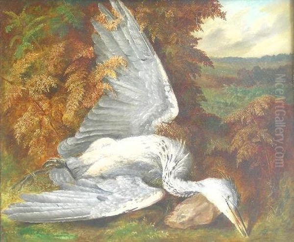 The Dead Heron Oil Painting by A. D. Lucas