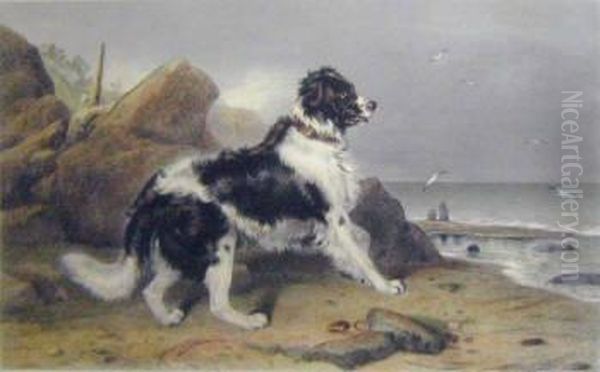 After Sir Edwin Landseer, 'off To The Rescue', 31.5cm X 51cm, Handcoloured Engraving, Framed Oil Painting by Alfred Lucas