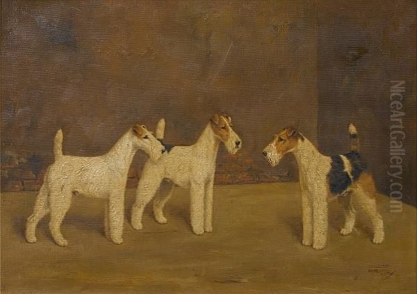 Three Wire-haired Fox Terriers Oil Painting by William Lucas