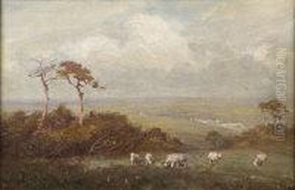 Sheep Grazing In Extensive Landscape Oil Painting by Max Ludby