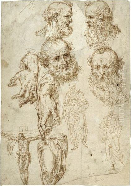 A Sheet Of Studies Including Heads, Hands And Figures Oil Painting by Aurelio Luini