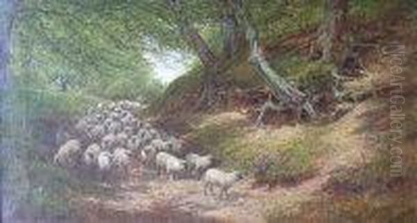 A Shepherd With His Flock On A Sunlit Woodland Track Oil Painting by William Luker