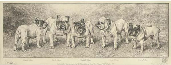 Rival Stone; Dick Stone; British Stone; Ben Stone; Druid Stone,five Bulldogs Oil Painting by William Luker