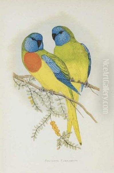 Parrots In Captivity: Eight Plates Oil Painting by Alexander Francis Lydon