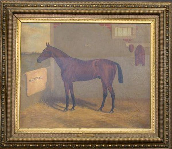 The Racehorse 'morello' In A Stable Oil Painting by Harry Lyman