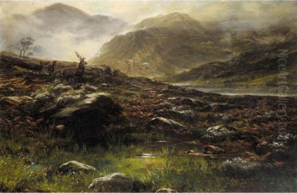 Deer In The Highlands Oil Painting by John Howard Lyon