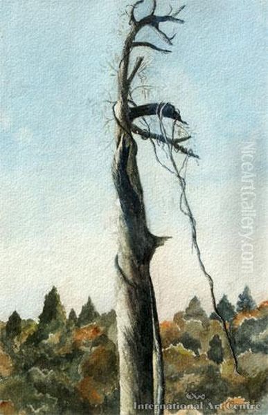 Dying Kauri & View Of Mt Egmont Verso Oil Painting by Sophia Augusta Lysaght Nee Moore