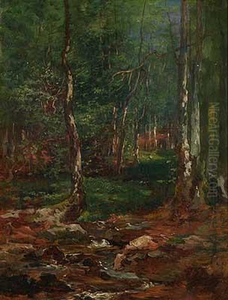 Sonnendurchfluteter Wald Mit Bachlauf Oil Painting by Lorenz Maas