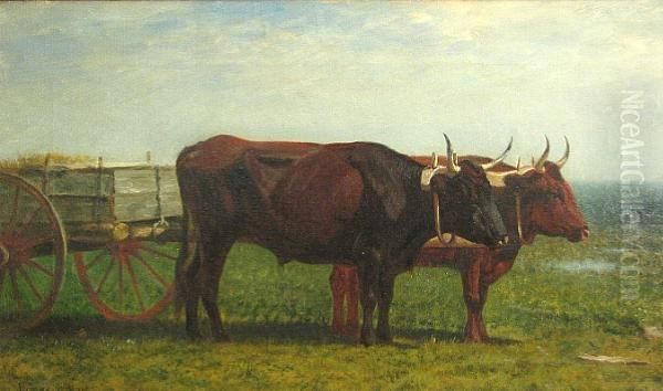 Oxen Oil Painting by James Dougal Mac Hart