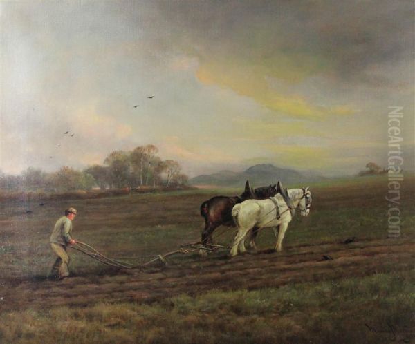 Ploughing Near Dalhousie Oil Painting by Murray Macdonald