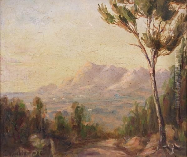 Morning. From Wymberg Hill Towardsmuizenberg Oil Painting by Edward C. Churchill Mace