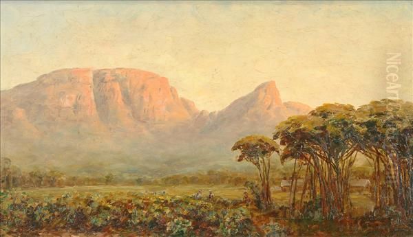 Devils Peak, Cape Town, South Africa Oil Painting by Edward C. Churchill Mace