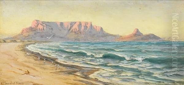 Evening Glow, Table Mountain Oil Painting by Edward C. Churchill Mace