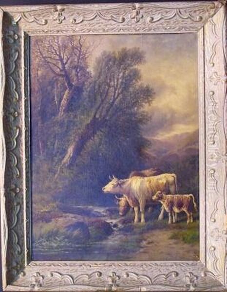 Cows Watering At A Stream Oil Painting by William Murdoch Macgill