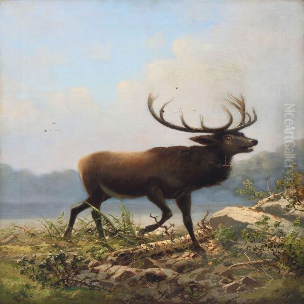 Roaring Stag Oil Painting by Adolf Henrik Mackeprang