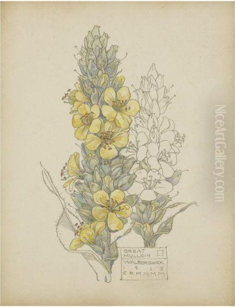 Great Mullein, Walberswick Oil Painting by Charles Rennie Mackintosh