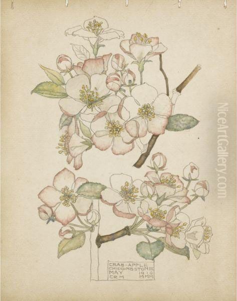 Crab Apple, Chiddingstone Oil Painting by Charles Rennie Mackintosh