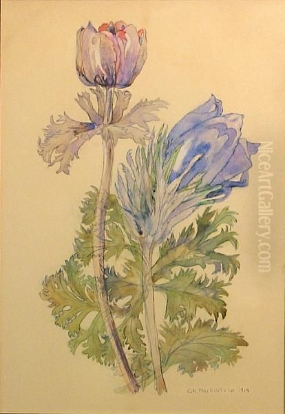 Flower Study Oil Painting by Charles Rennie Mackintosh