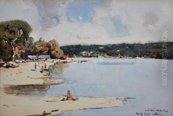 pittwater, Nsw Oil Painting by Matthew James Macnally