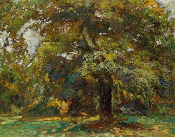 A Tree Oil Painting by Gustav Macoun