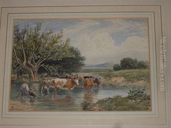 Cattle Watering At A Ford With Farmer And Dog At The Waters Edge Oil Painting by John MacPherson