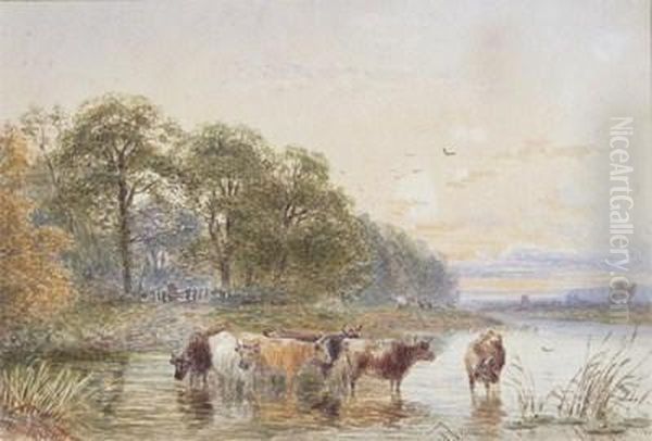 Cattle Watering In Ariver Oil Painting by John MacPherson