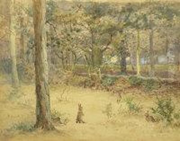 Rabbits In A Woodland Clearing Oil Painting by Percy Thomas Macquoid