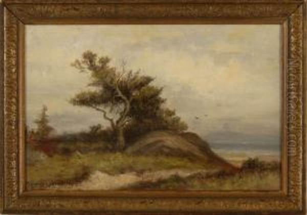 A Bit Of New England Shore Oil Painting by William Ferdinand Macy