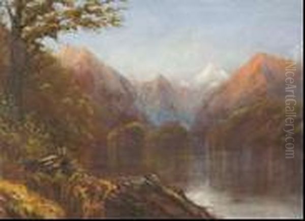 Views Of Smith's Sound, West Coast Nz Oil Painting by John Mcintosh Madden