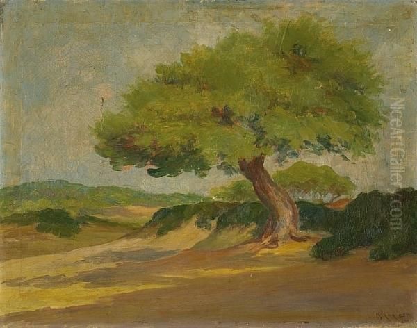 Landscape With Pine Tree Oil Painting by Vassilis Magiassis