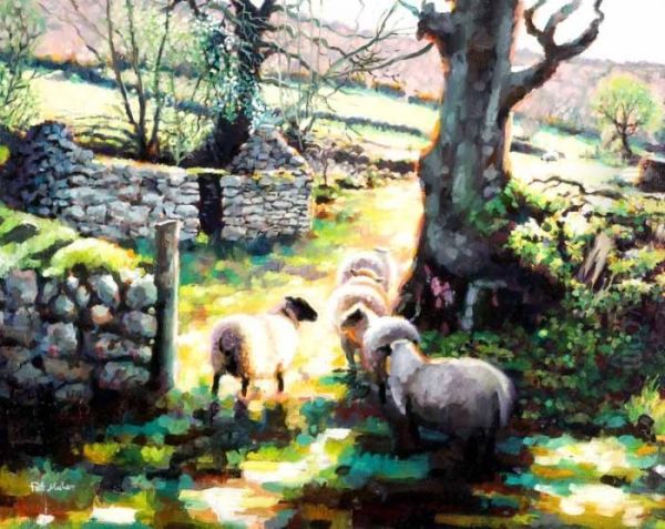 Sheep In Sunlight Oil Painting by Kate Heath Maher