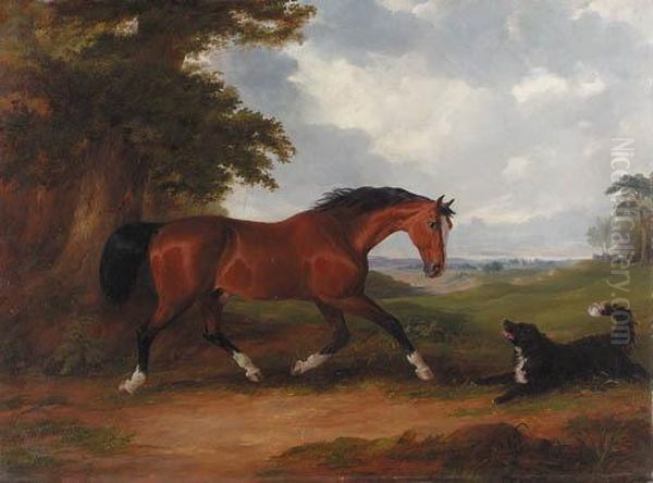 A Bay Hunter And A Spaniel In A Wooded Landscape Oil Painting by Joseph Maiden