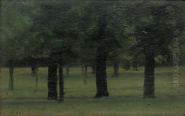 Study Of Trees In Kensington Gardens Oil Painting by Paul Fordyce Maitland