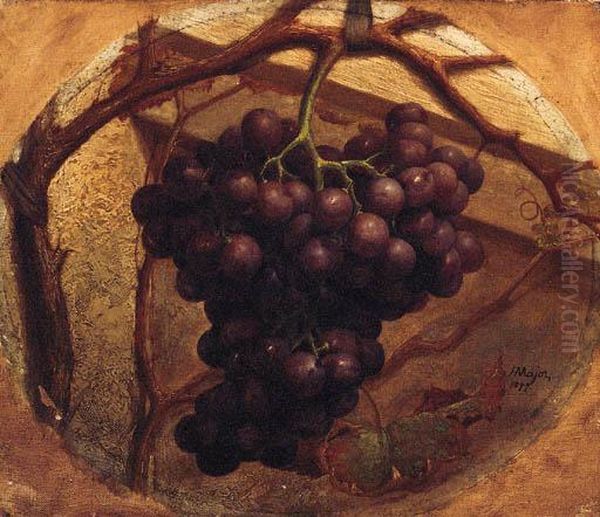 A Bunch Of Grapes Hanging From A Vine Oil Painting by Henry A. Major