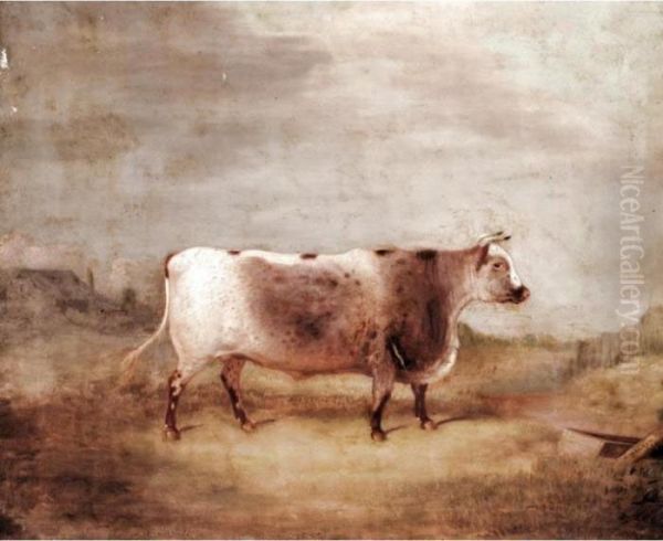 Wildeyes, A Prize Short Horned Heifer Oil Painting by William Malbon