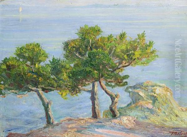 Pine Trees In Halki Oil Painting by Konstantinos Maleas