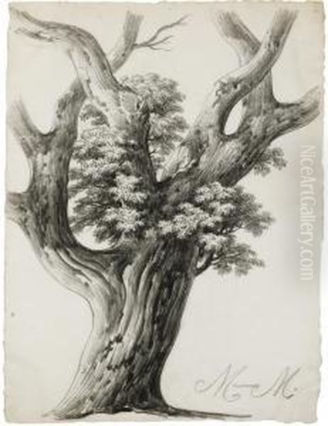 Study Of A Tree Oil Painting by Alphonse N. Michel Mandevare