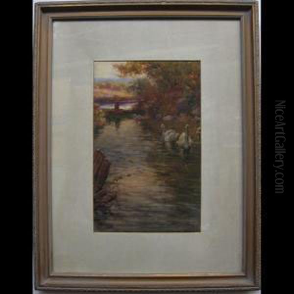 St. David Pool; Two Swans Oil Painting by Charles Macdonald Manly