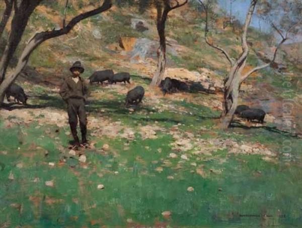 Boy And Black Pigs Oil Painting by Harrington Mann