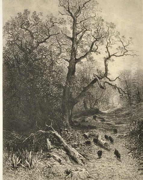 Oak Oil Painting by Julius Eduard Marak